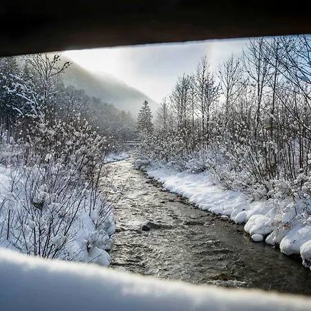 Scharfetter Anna Apartament