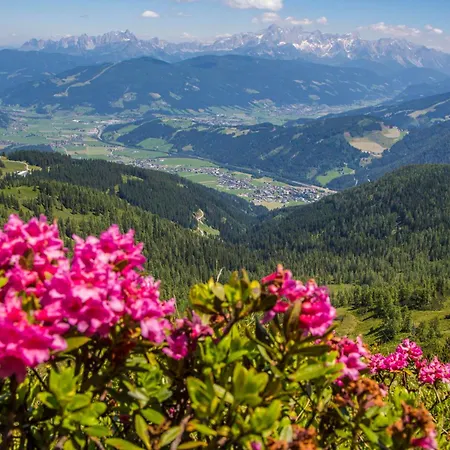 Scharfetter Anna Flachau