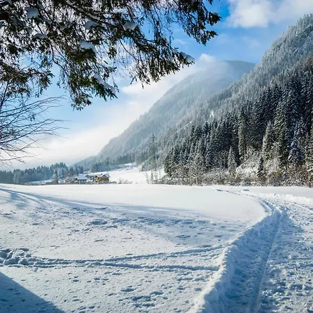 Scharfetter Anna Flachau