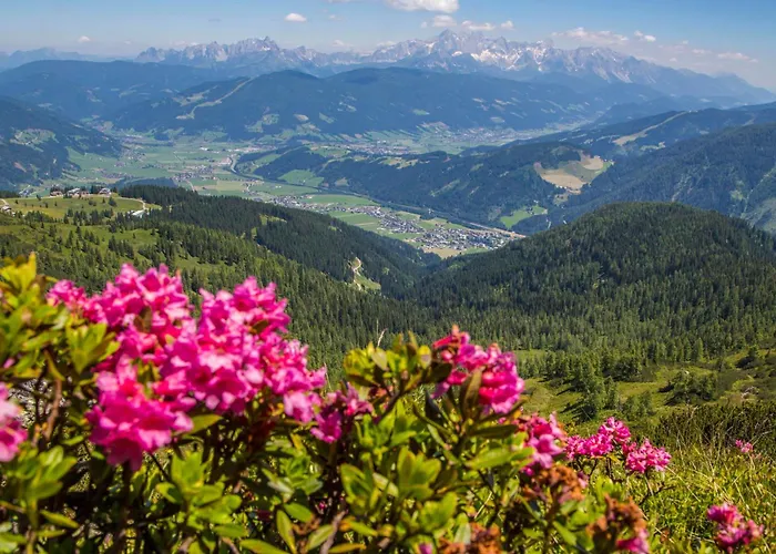 Scharfetter Anna Flachau