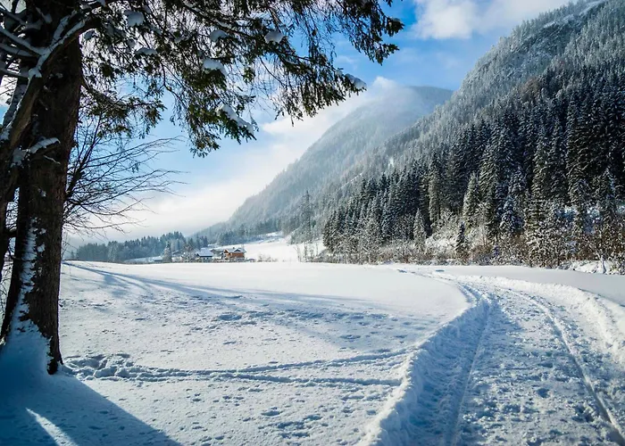 Scharfetter Anna Flachau